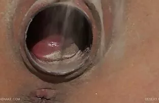 XXX 卒業証書を洗い流すジャニスグリフィスは、多くのツバメ 無料 エロ 動画 フェラ
